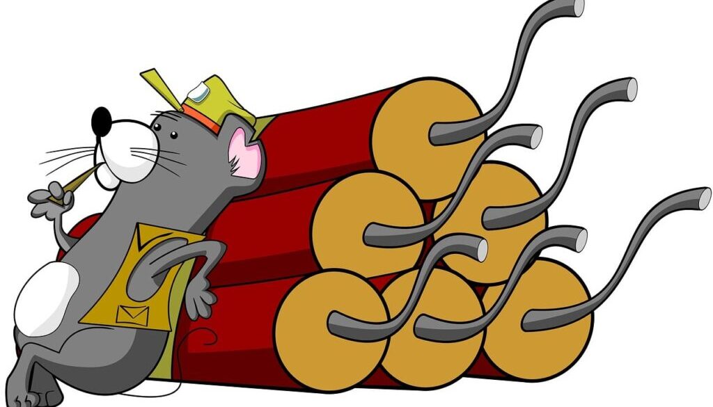 mouse dynamite cartoon animal 985500