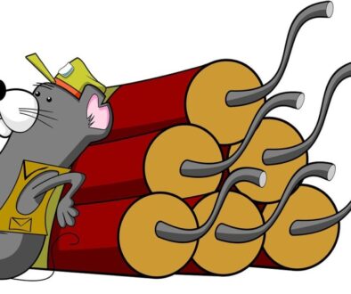 mouse dynamite cartoon animal 985500