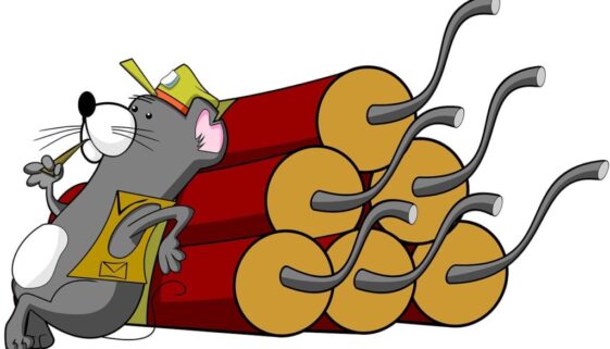 mouse dynamite cartoon animal 985500