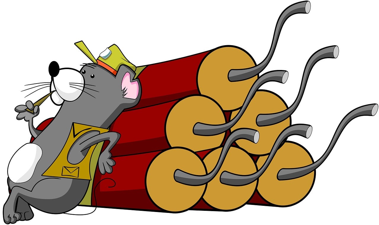 mouse dynamite cartoon animal 985500